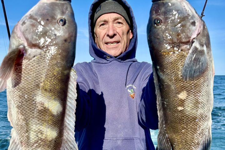 Person holds two large fish on a boat against a clear sky backdrop.