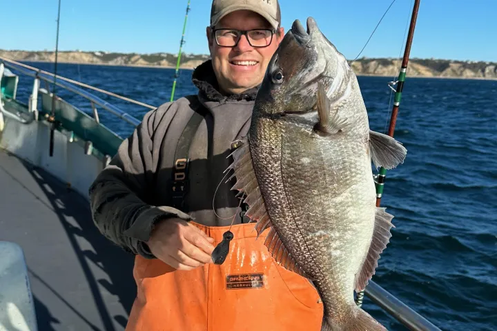 Person in orange overalls holding a large fish on a boat with ocean and coastline in the background.