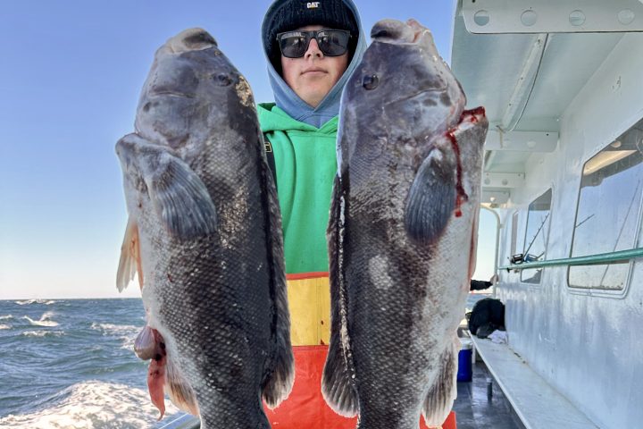 Person in orange overalls holding two large fish on a boat with ocean background.