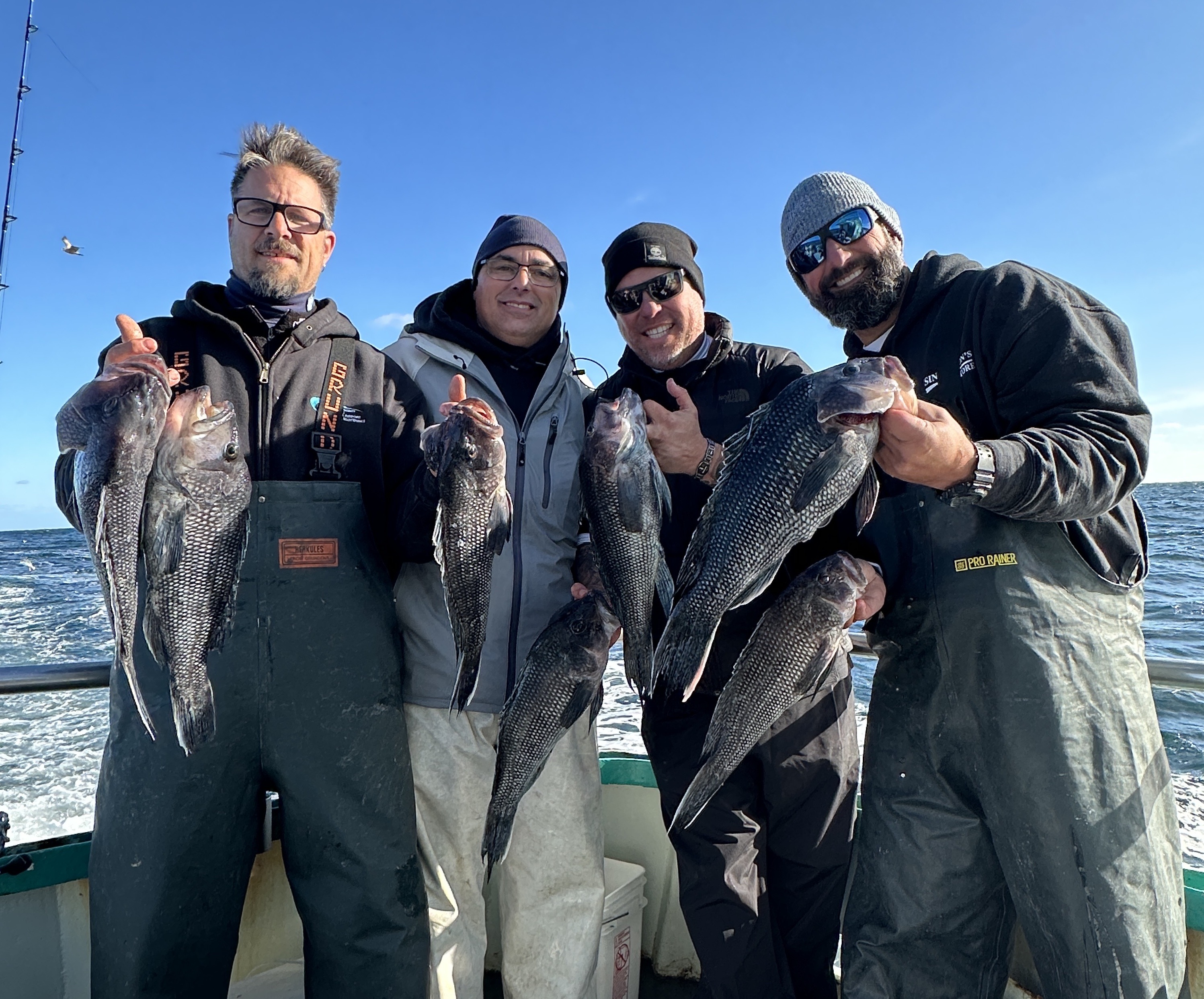 Blackfish - SeaBass - Cod Trip | Viking Fleet