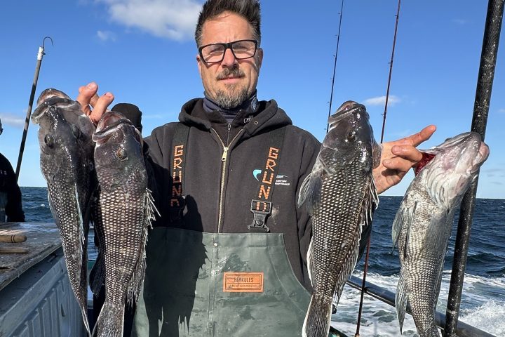 Man on boat holding four large fish under clear blue sky.