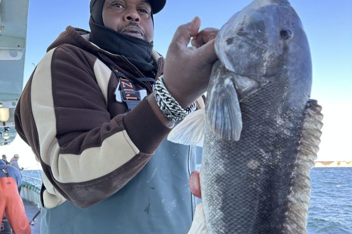 Person holding a large fish on a boat with the ocean and sky in the background.