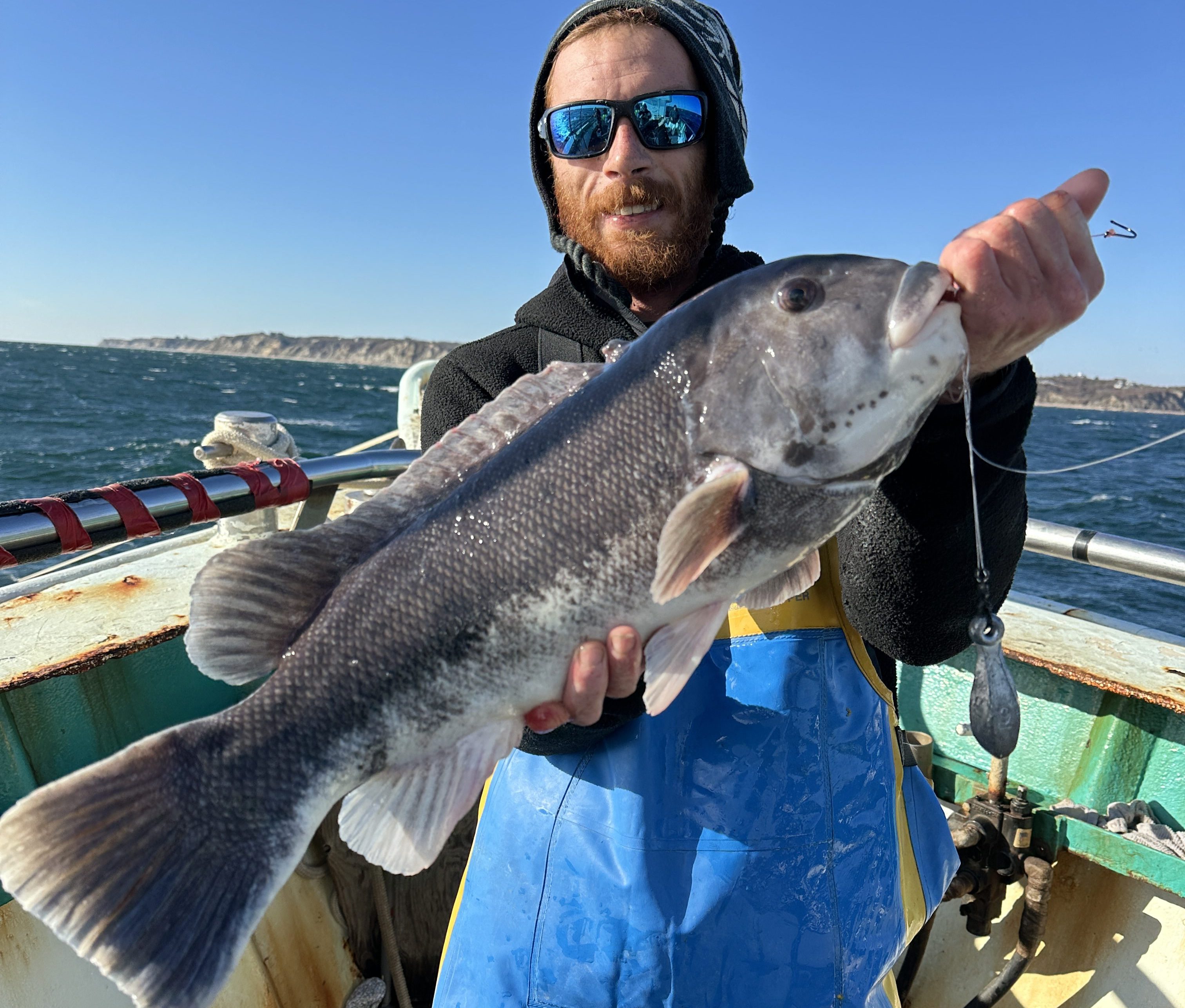 Ultra LTD Blackfish & SeaBass | Viking Fleet