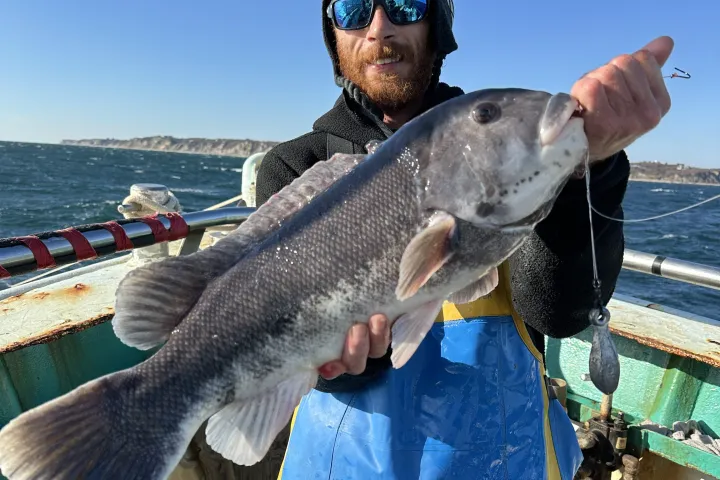 Man in blue overalls holding a large fish on a boat under clear blue sky.