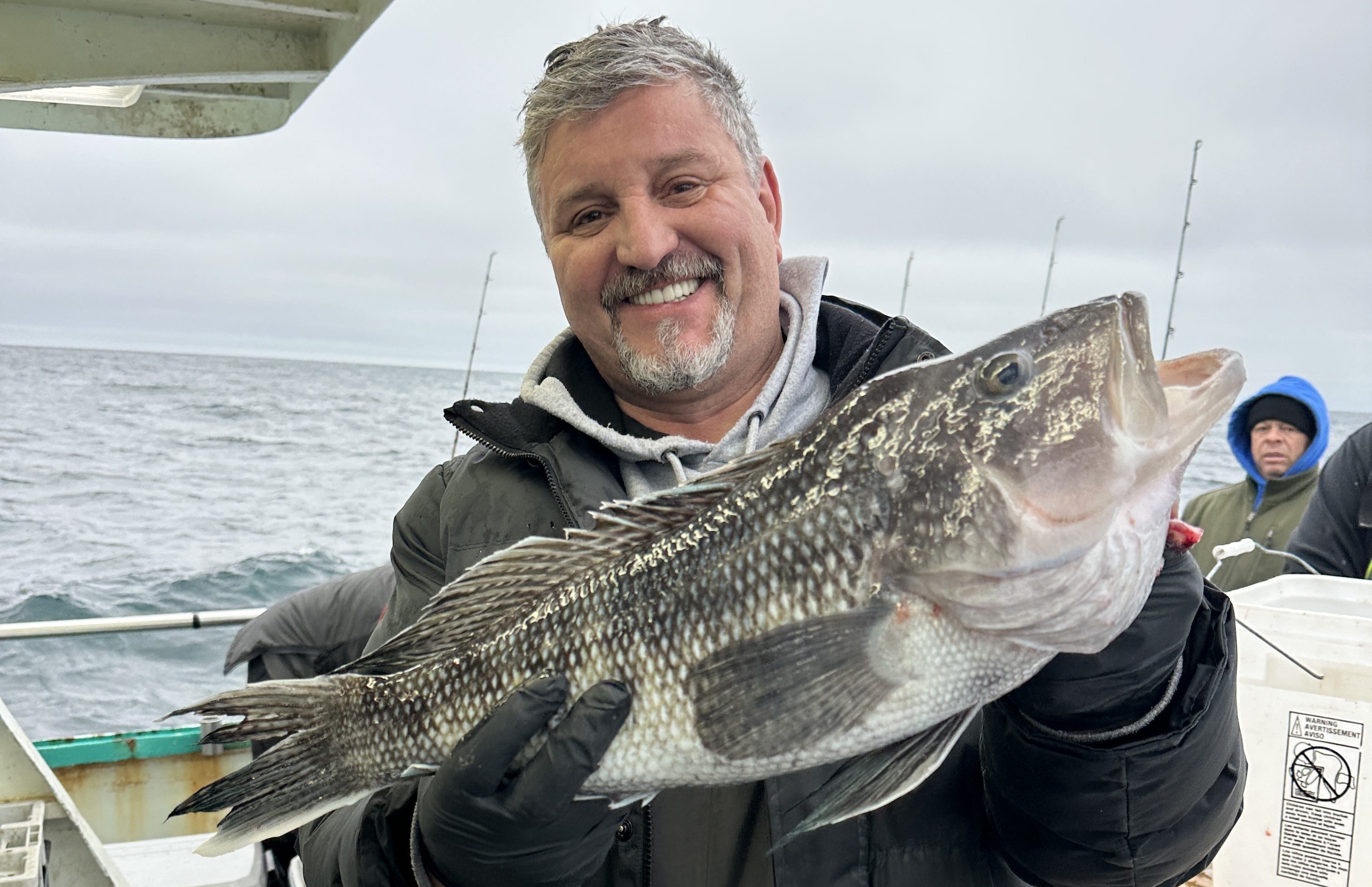 Blackfish - SeaBass - Cod Trip | Viking Fleet
