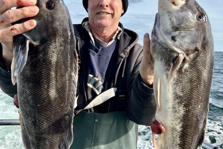 Person in a beanie holding up two large fish on a boat with the sea in the background.