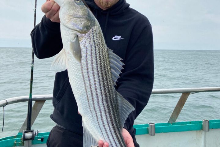 a person holding a fish in the water