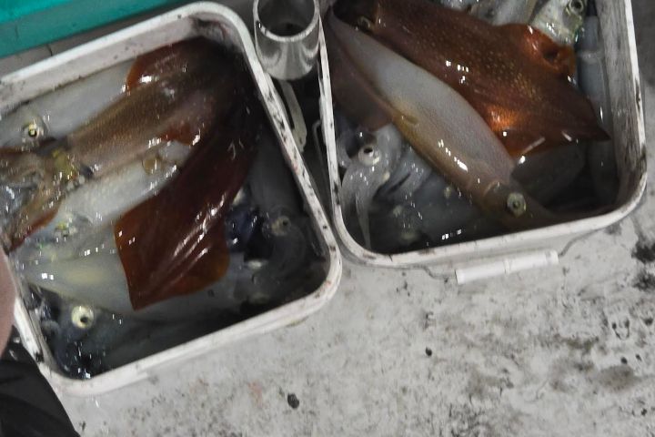 a car covered in snow