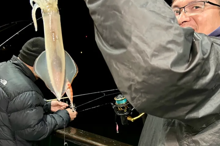 a person holding a gun