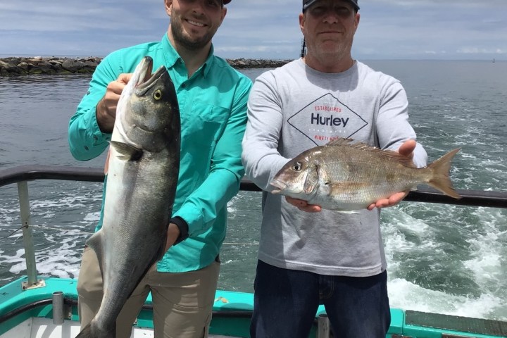 a person holding a fish in the water
