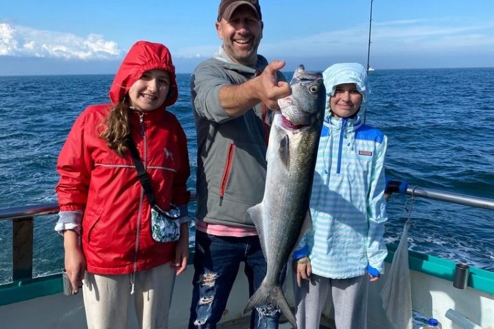 a group of people standing next to a fish in the water