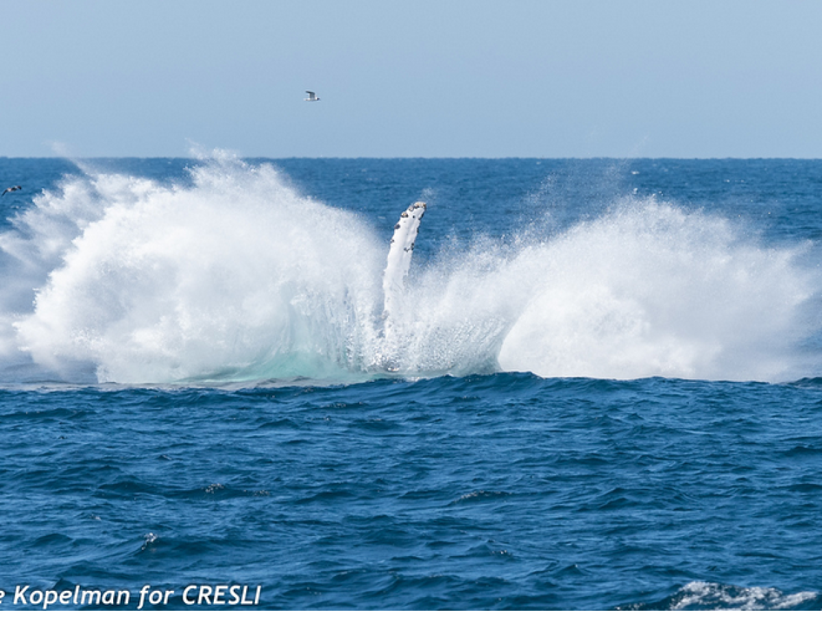 a man riding a wave in the ocean