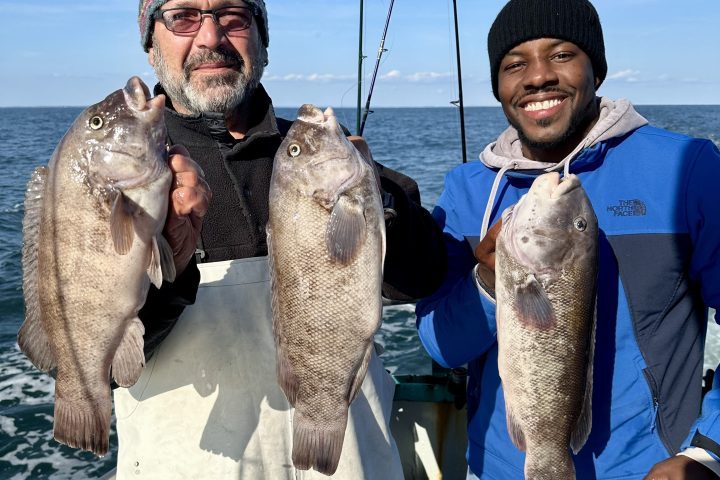 a man holding a fish
