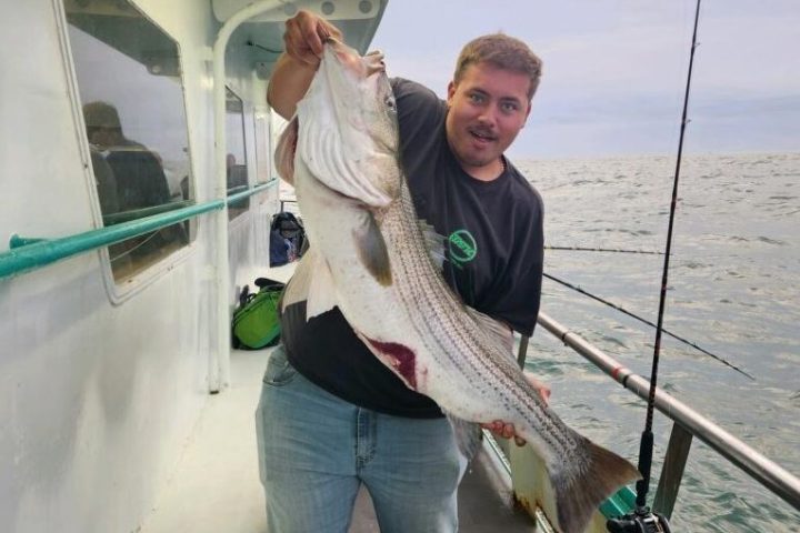 a person holding a fish in the water