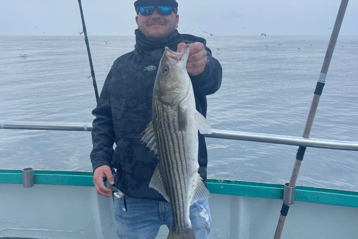 a person standing next to a body of water