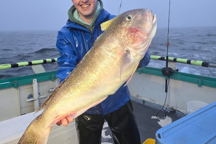 a person holding a fish in the water