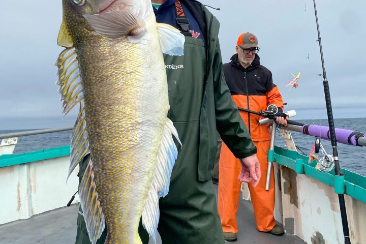a man holding a fish