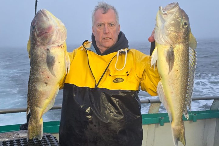 a man holding a fish