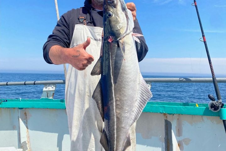 a man holding a fish in the water